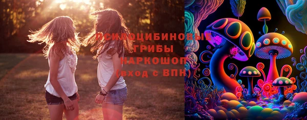 дурь Абаза