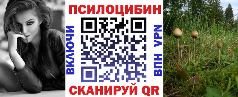 Псилоцибиновые грибы Cubensis  Собинка 